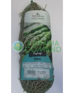 Zampe asparago verde Eros