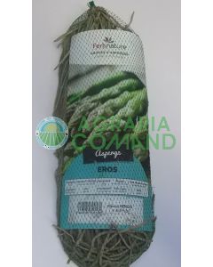 Asparago Eros Asparago Eros