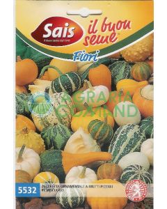 Mélange de citrouilles ornementales à petits fruits