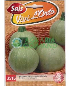 COURGETTE RONDE TOSCANE