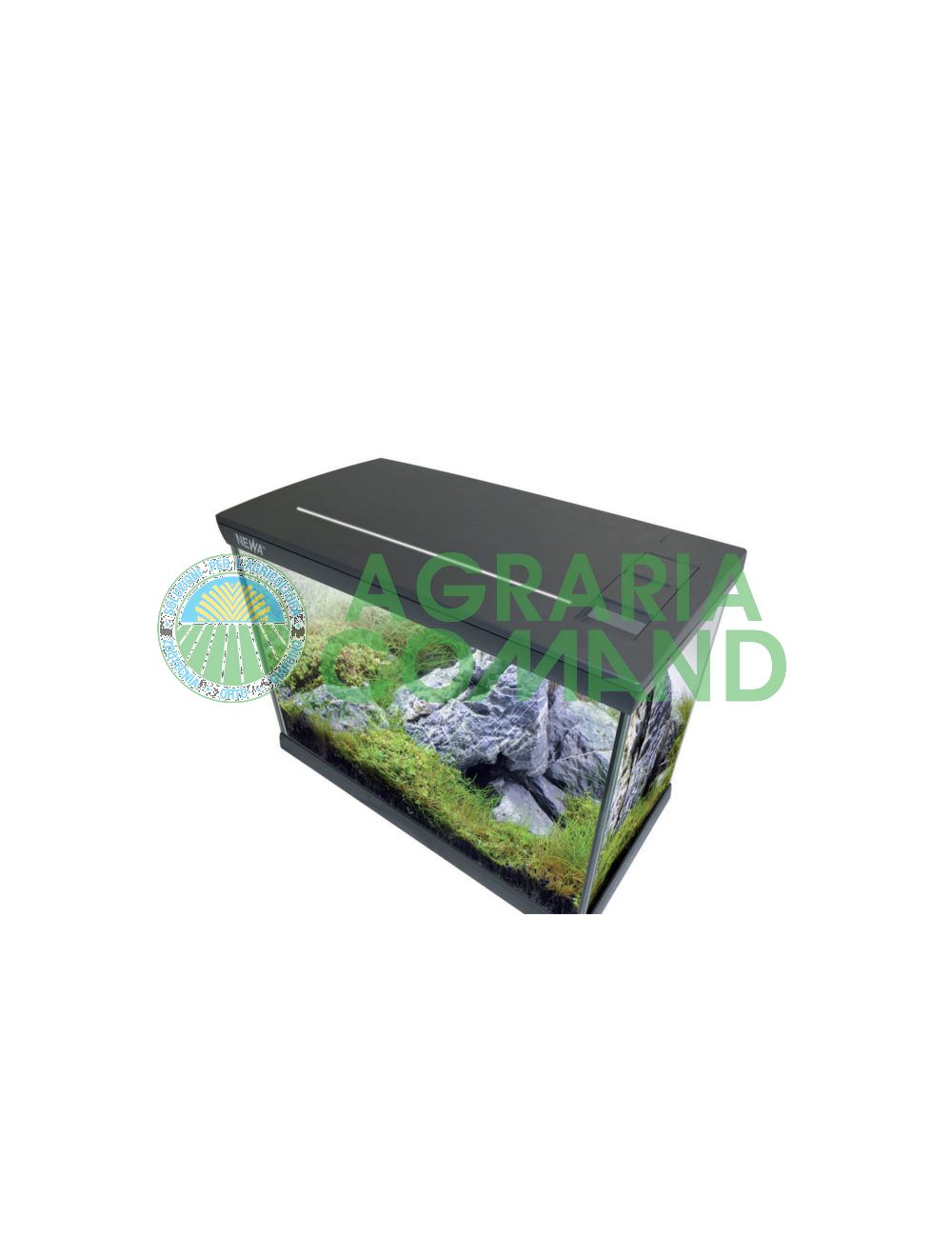 Aquarium Mirabello Newa Aquarium Mirabello Newa