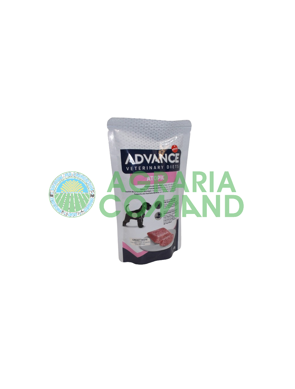 Chien humide atopique