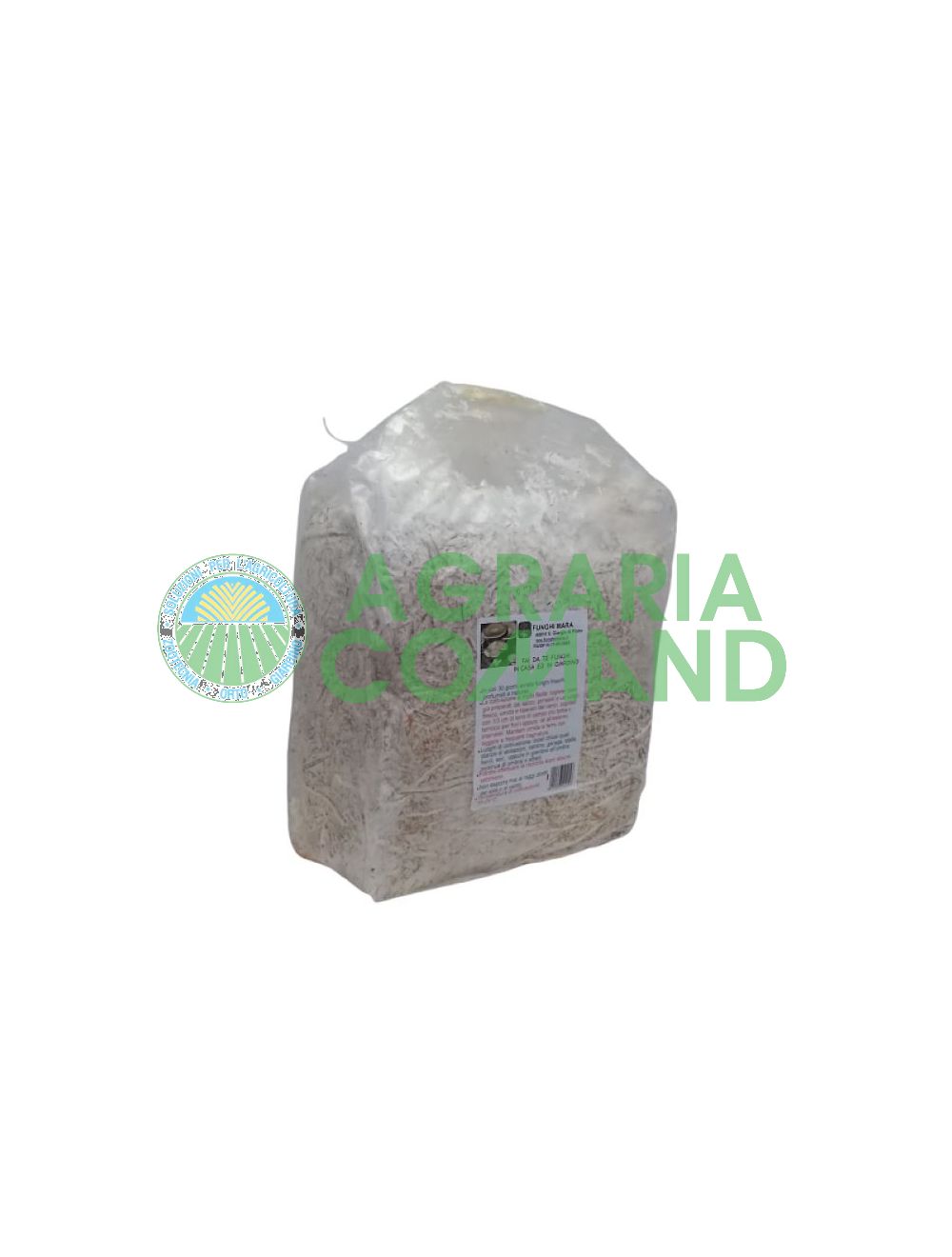 petite balle de cardoncello petite balle de cardoncello