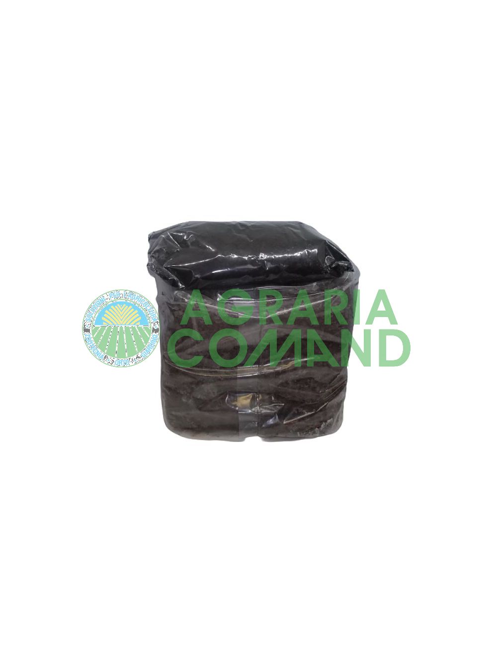 Duo de danse Duo de danse