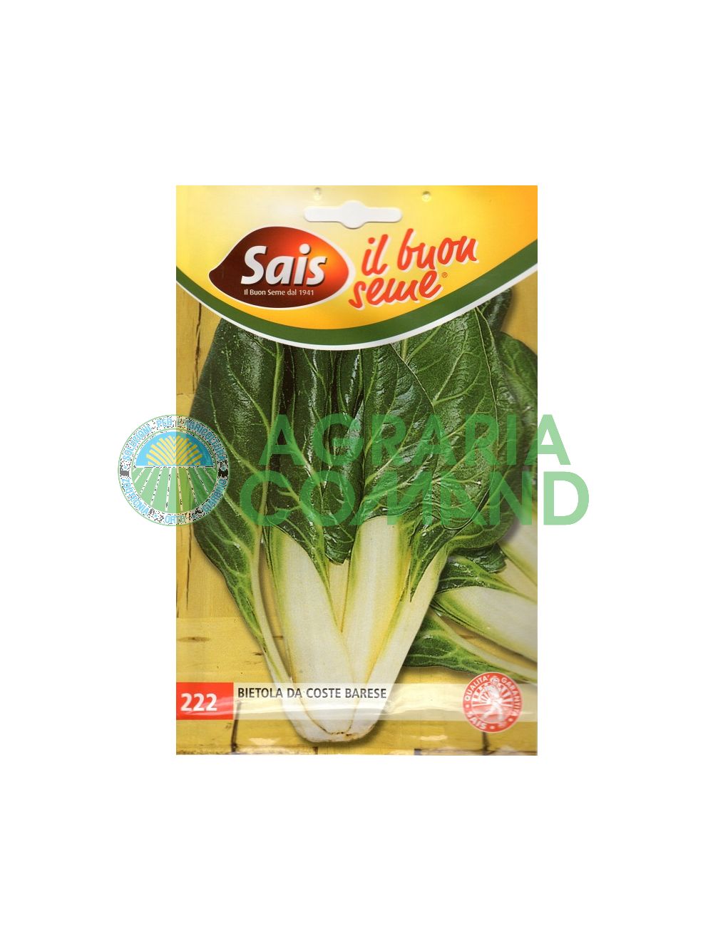 Barese chard Barese chard