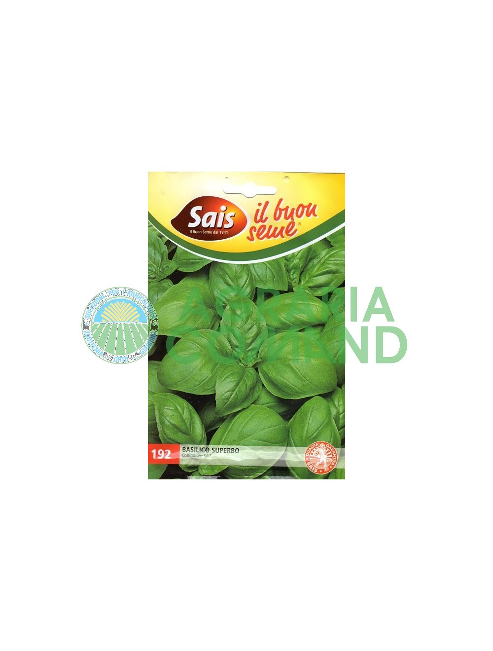 Superbe basilic Superbe basilic