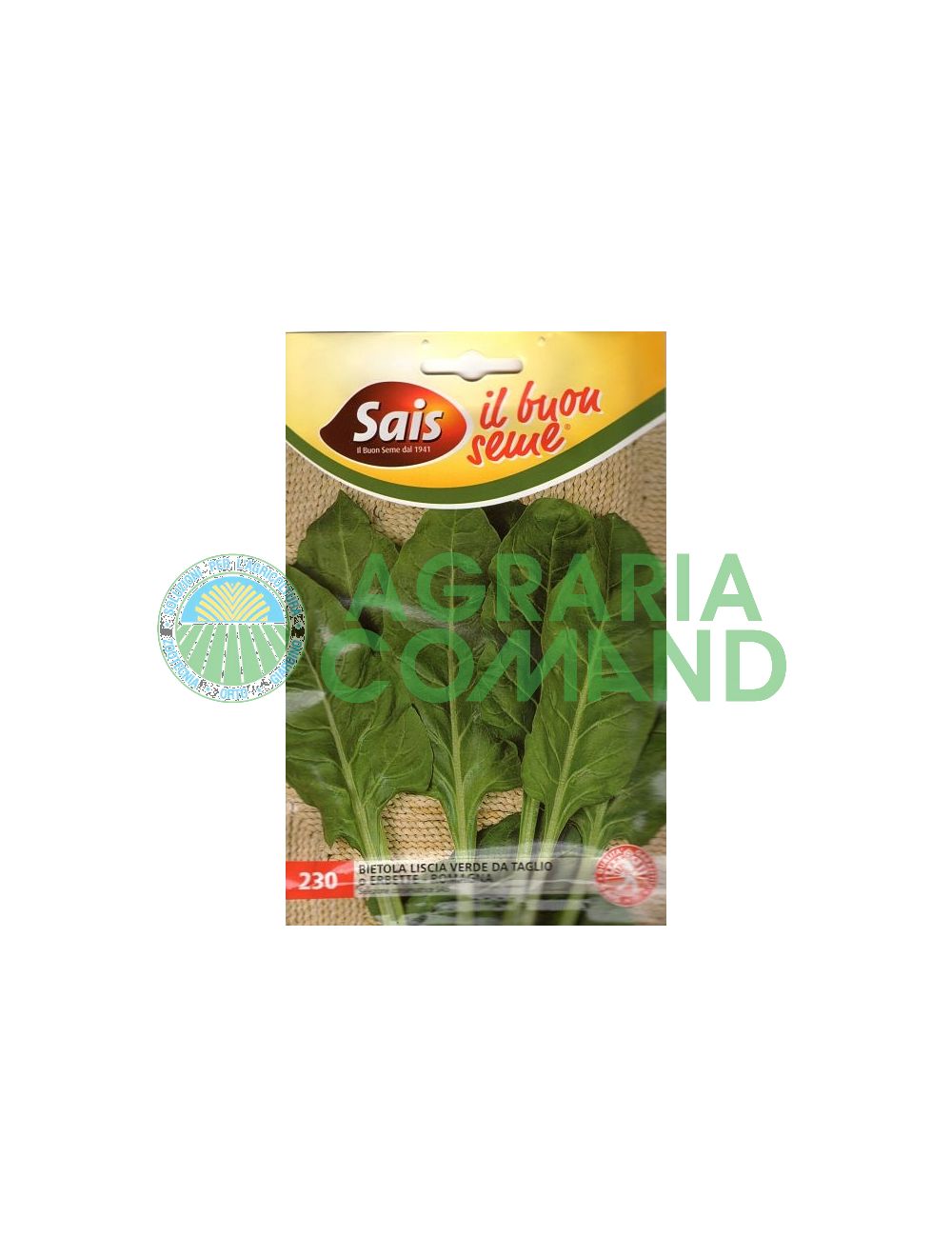 Bette verte Bette verte