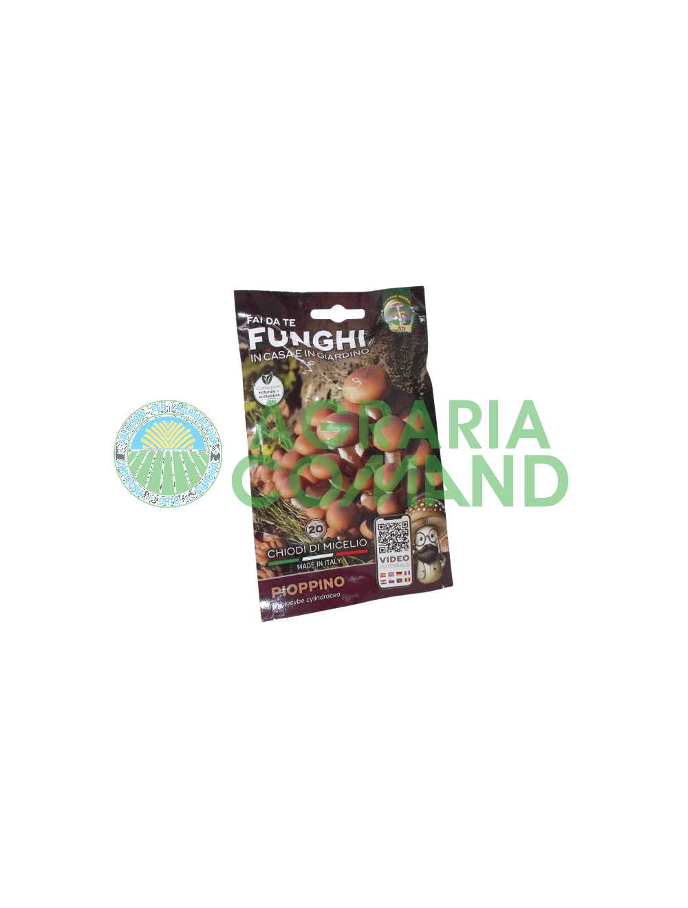 Champignons à mycélium de peuplier Champignons Mara