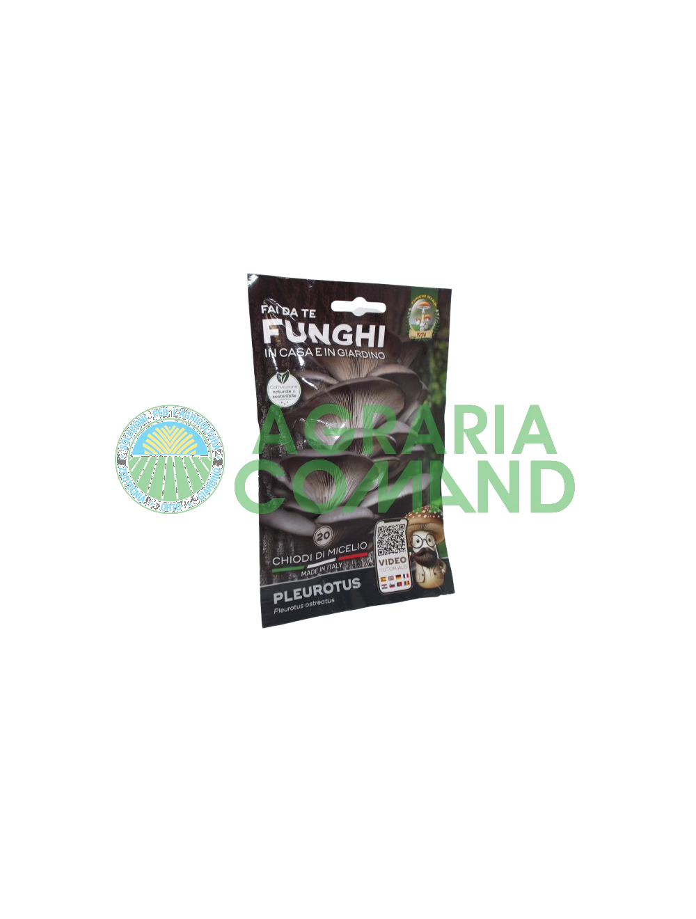 Mycélium clous champignons Pleurotus Mara Mycélium clous champignons Pleurotus Mara