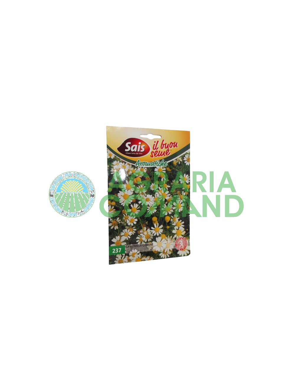 Graine de camomille commune Graine de camomille commune