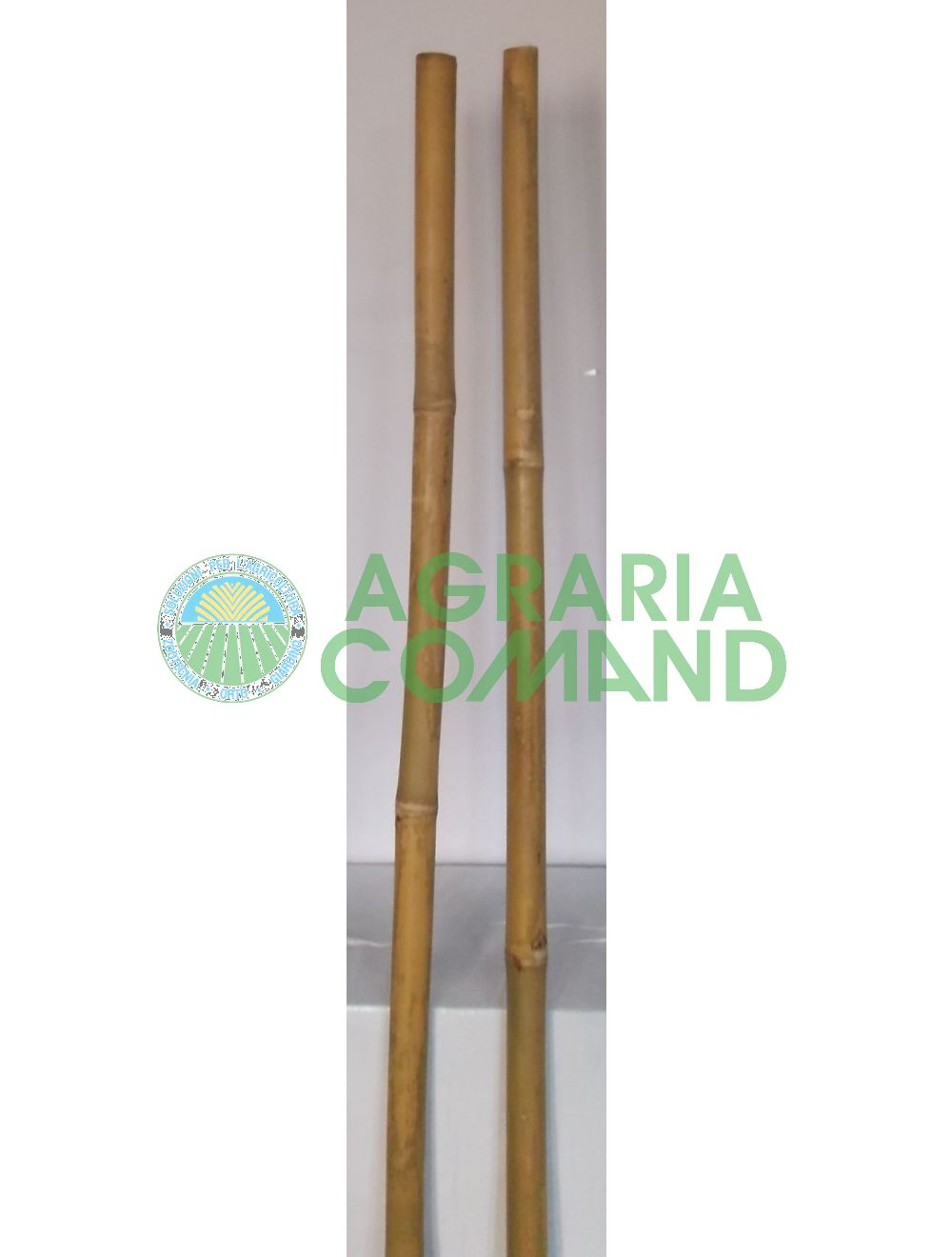 Support de canne en bambou