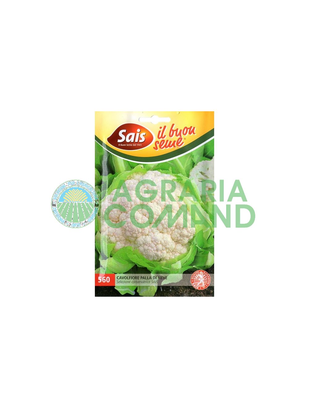 Chou-fleur boule de neige Chou-fleur boule de neige