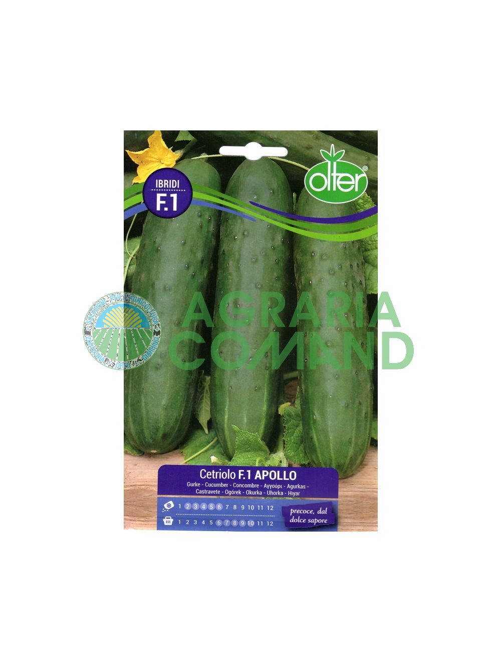 Concombre Apollo F.1 Concombre Apollo F.1