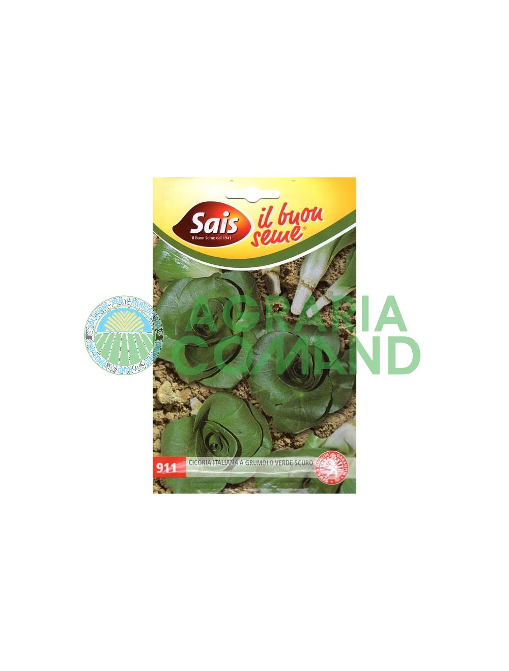 Chicorée vert foncé