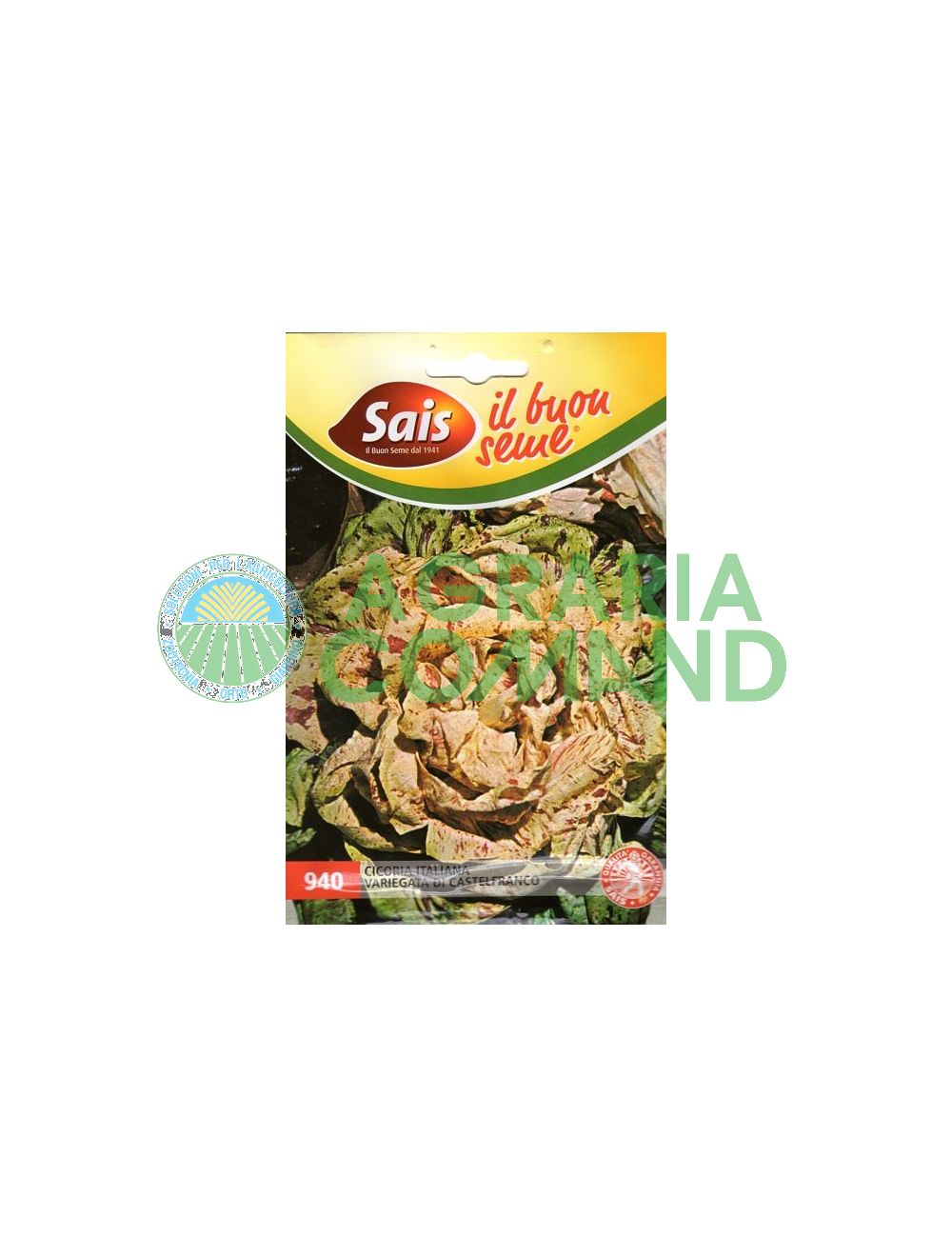 Chicorée panachée de Castelfranco