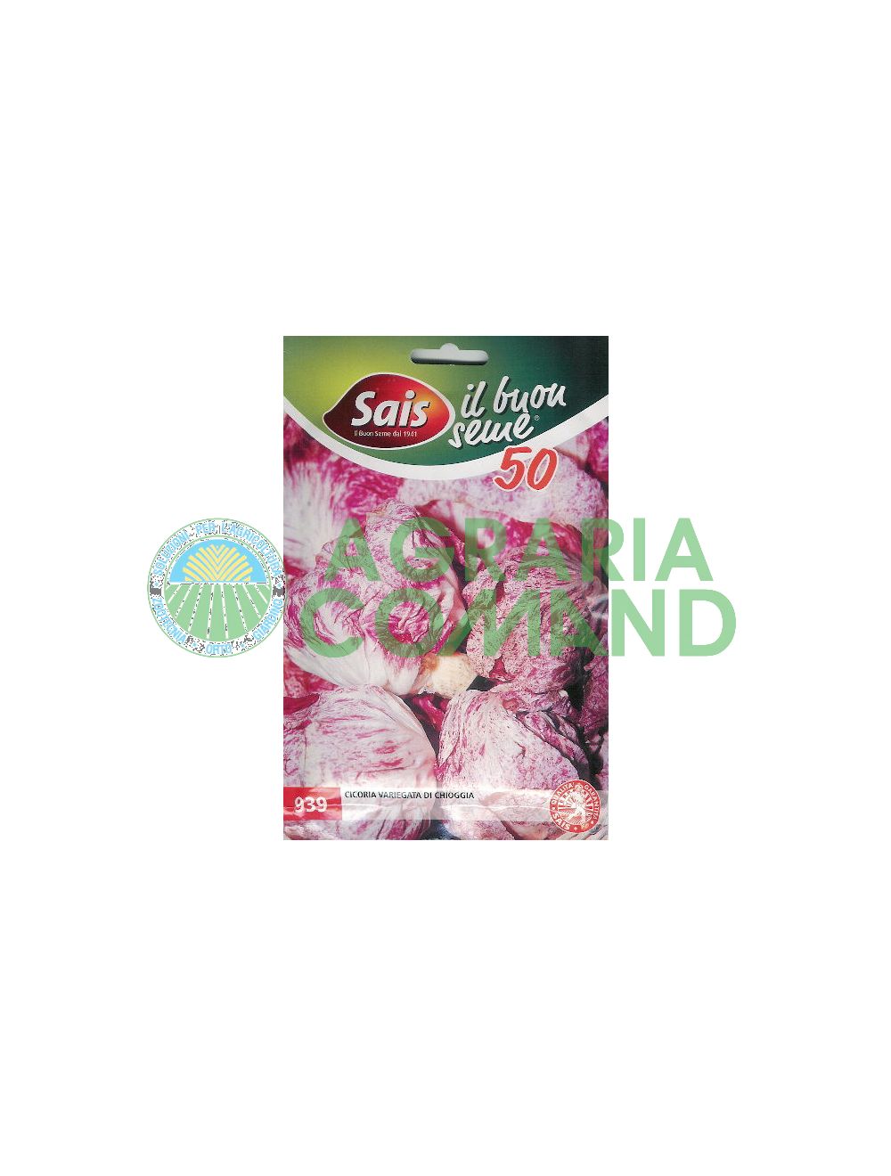 Graine de chicorée chioggia panachée Graine de chicorée chioggia panachée