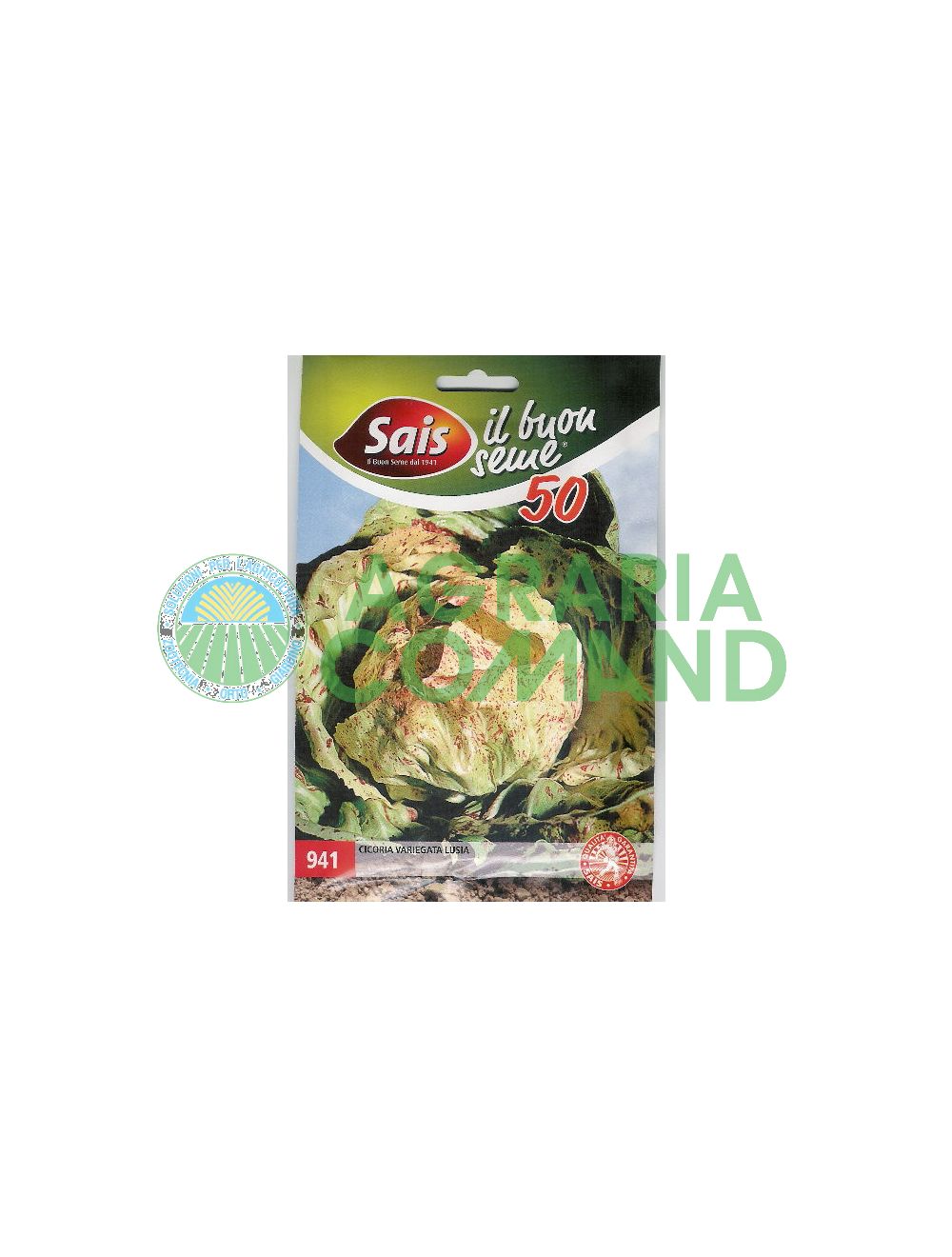 Chicorée panachée de Luisa Chicorée panachée de Luisa