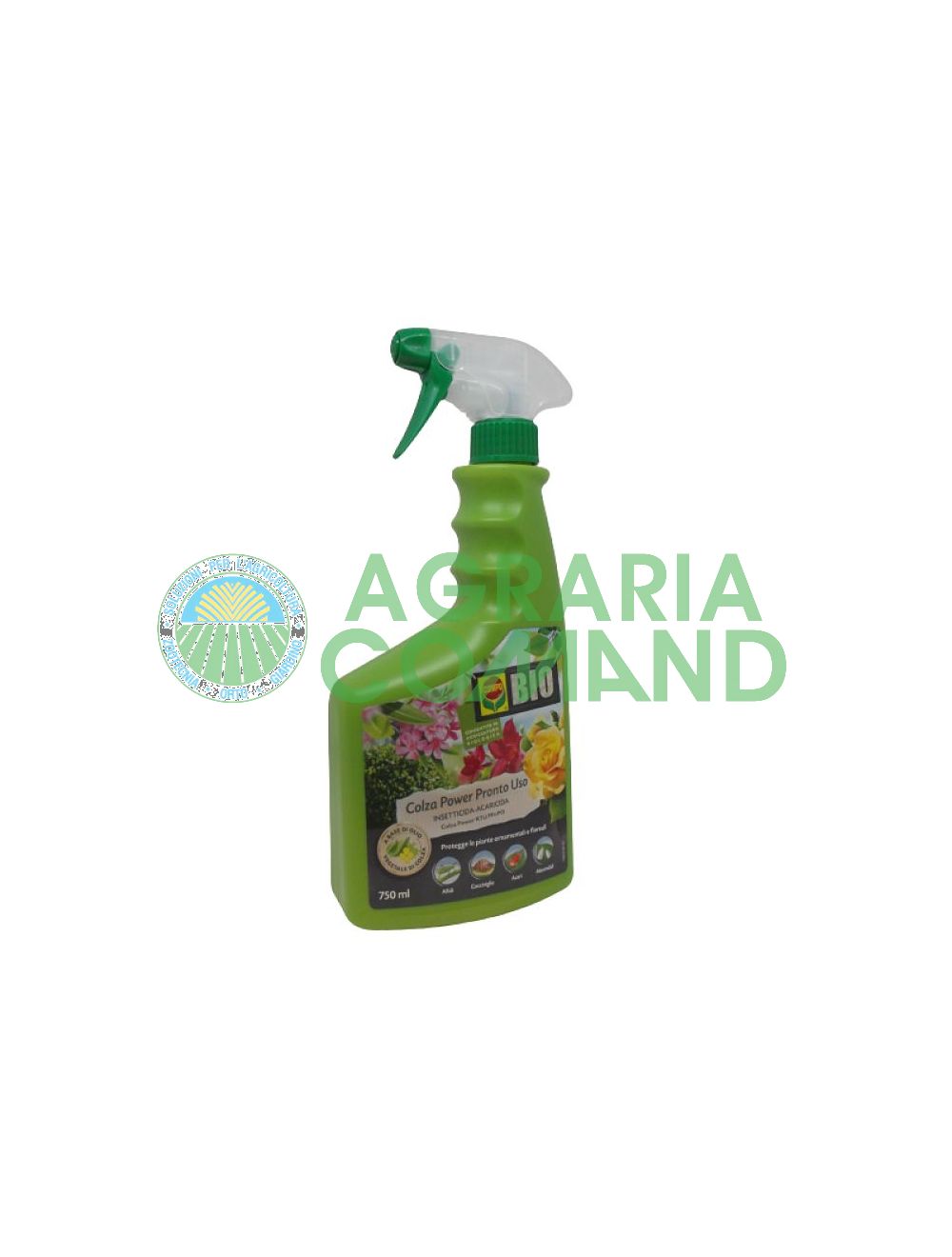 Insecticide Compo Colza oléagineux