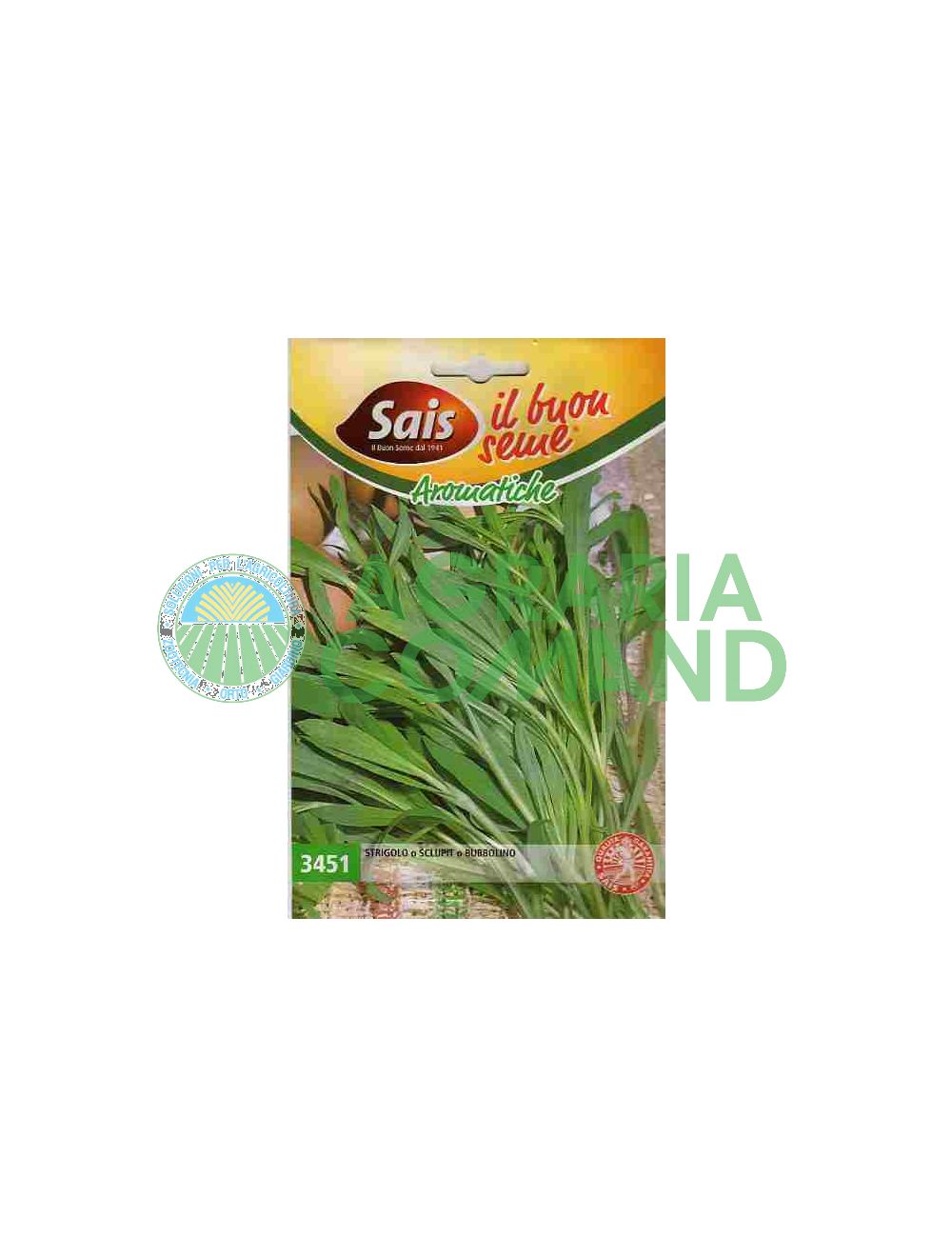 Strigolo Sclupit Bubbolino graines Strigolo Sclupit Bubbolino graines