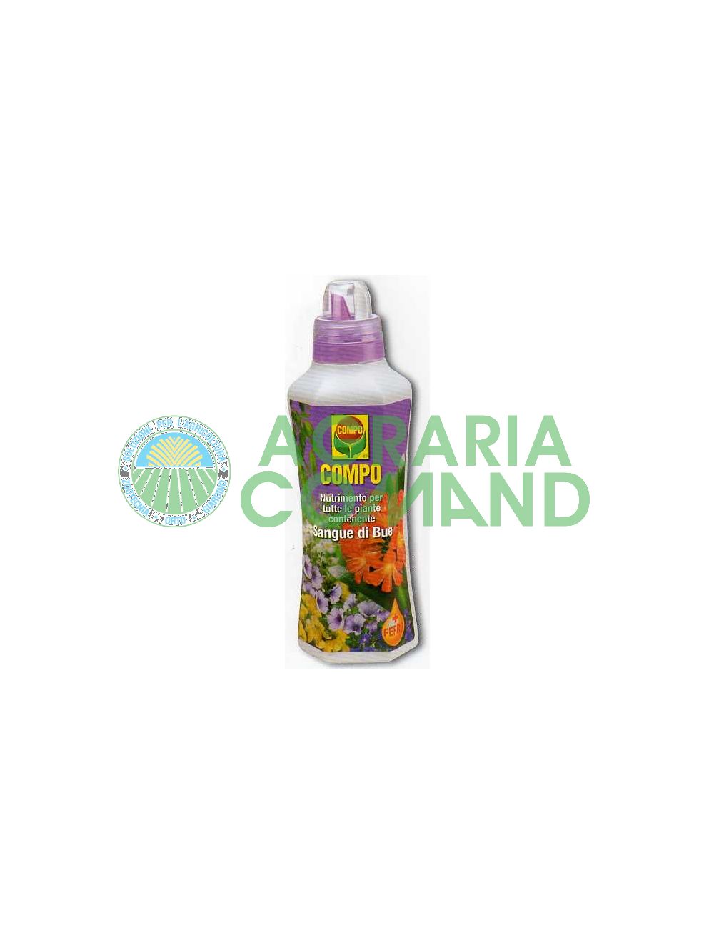 Compo avec sang de bœuf