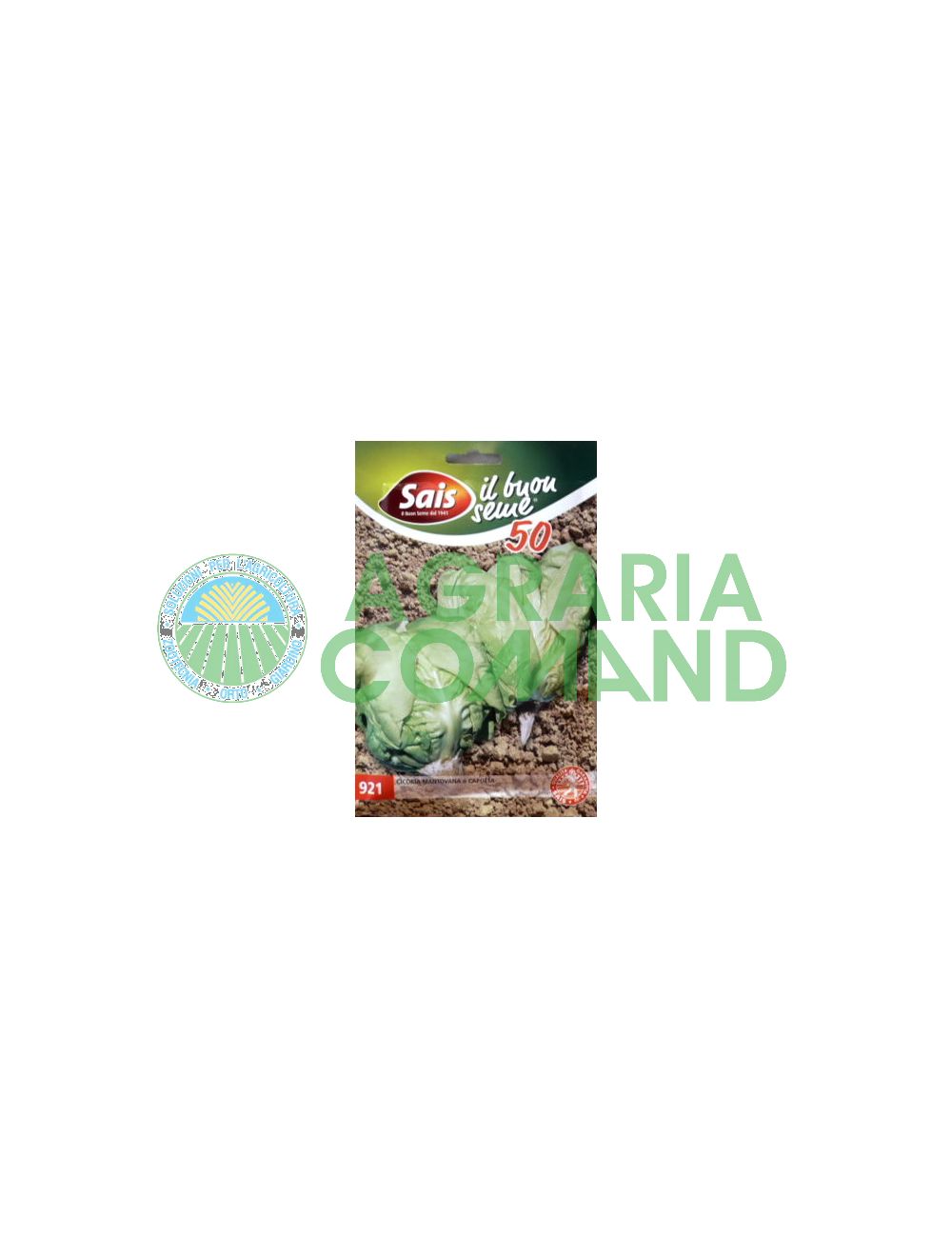 Chicorée ou cappotta de Mantoue Chicorée ou cappotta de Mantoue