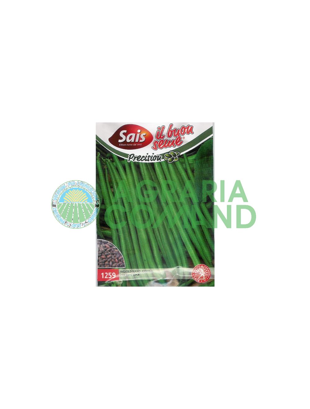 Haricot nain Annibal Haricot nain Annibal