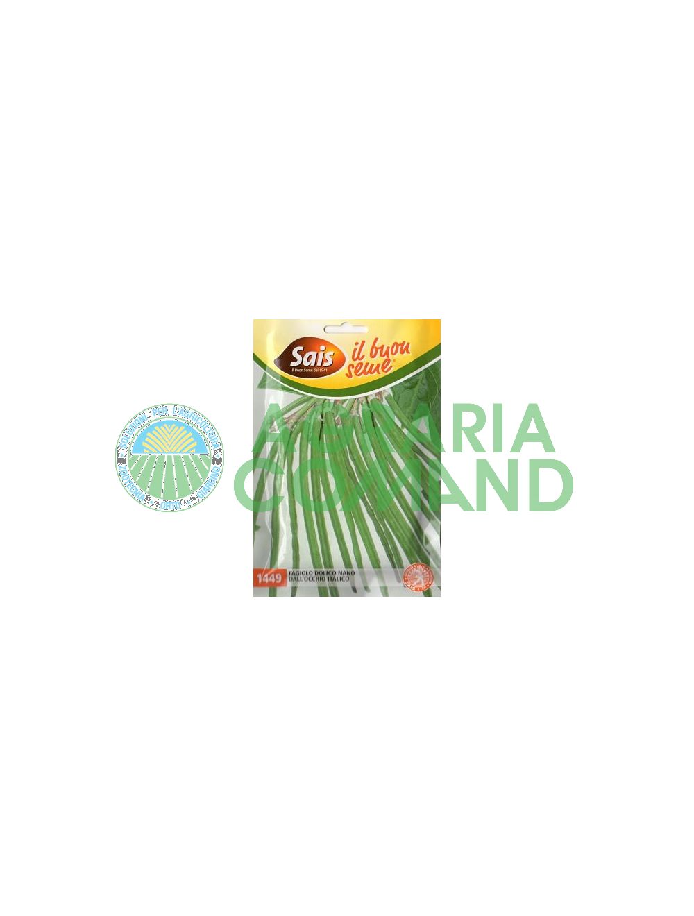 Haricot nain Haricot nain