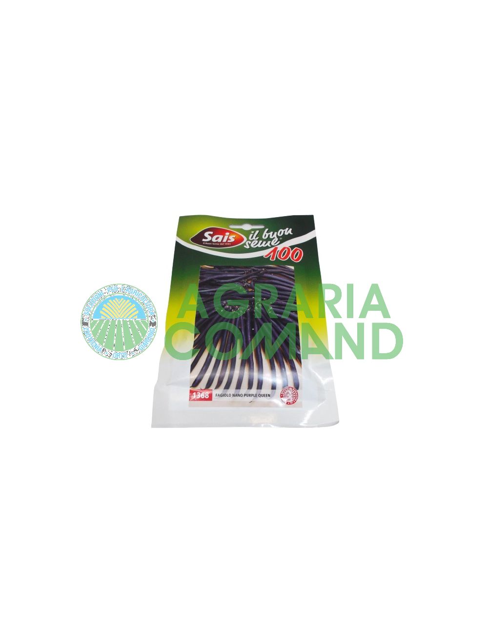 Haricot nain violet Haricot nain violet