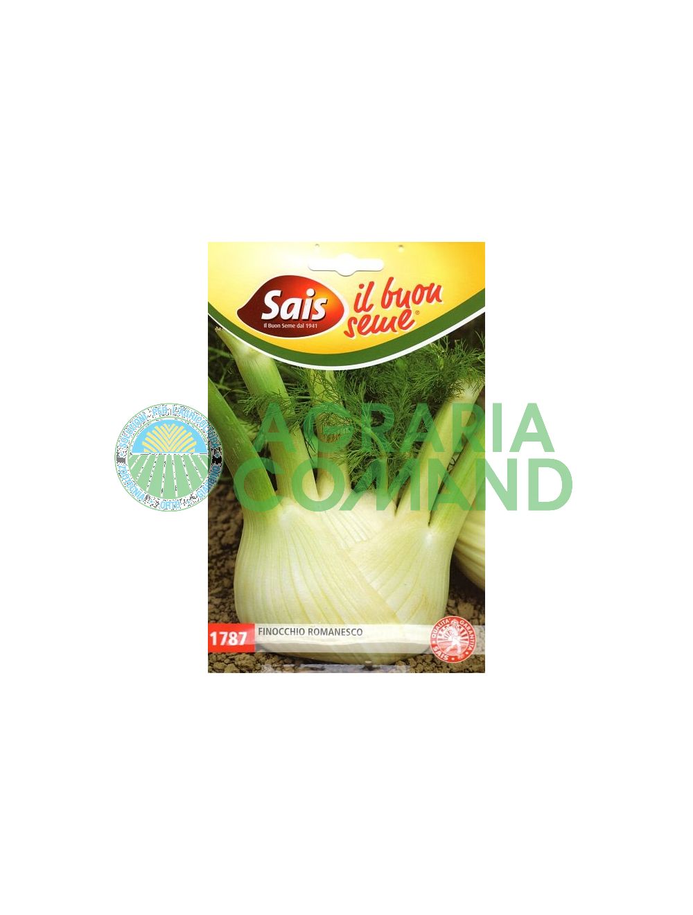 Fenouil Romanesco Fenouil Romanesco