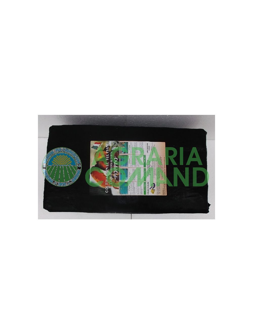 balles de champignons de peuplier