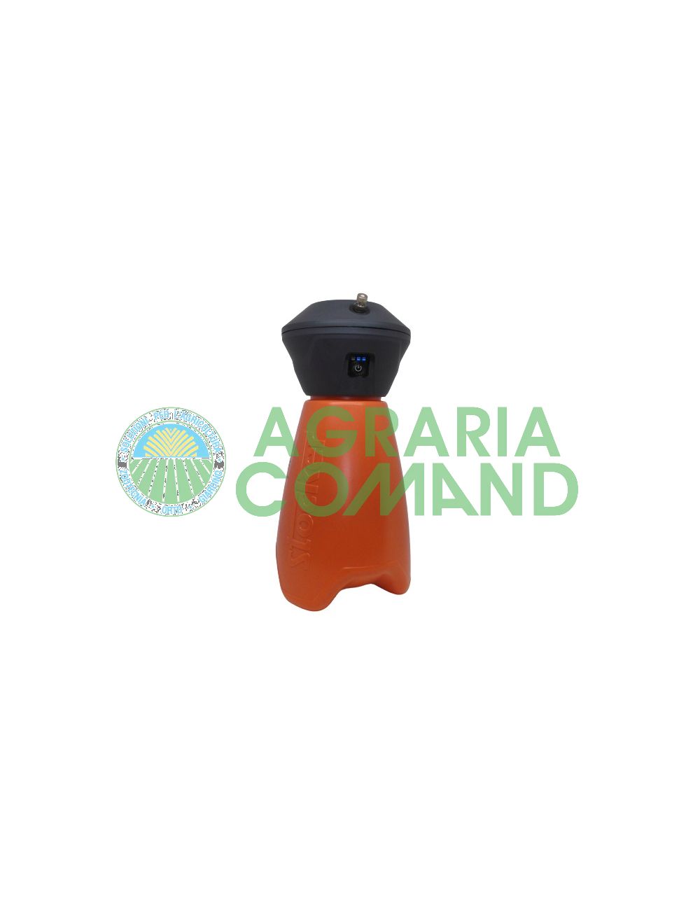 Pigeons du geyser Pigeons du geyser