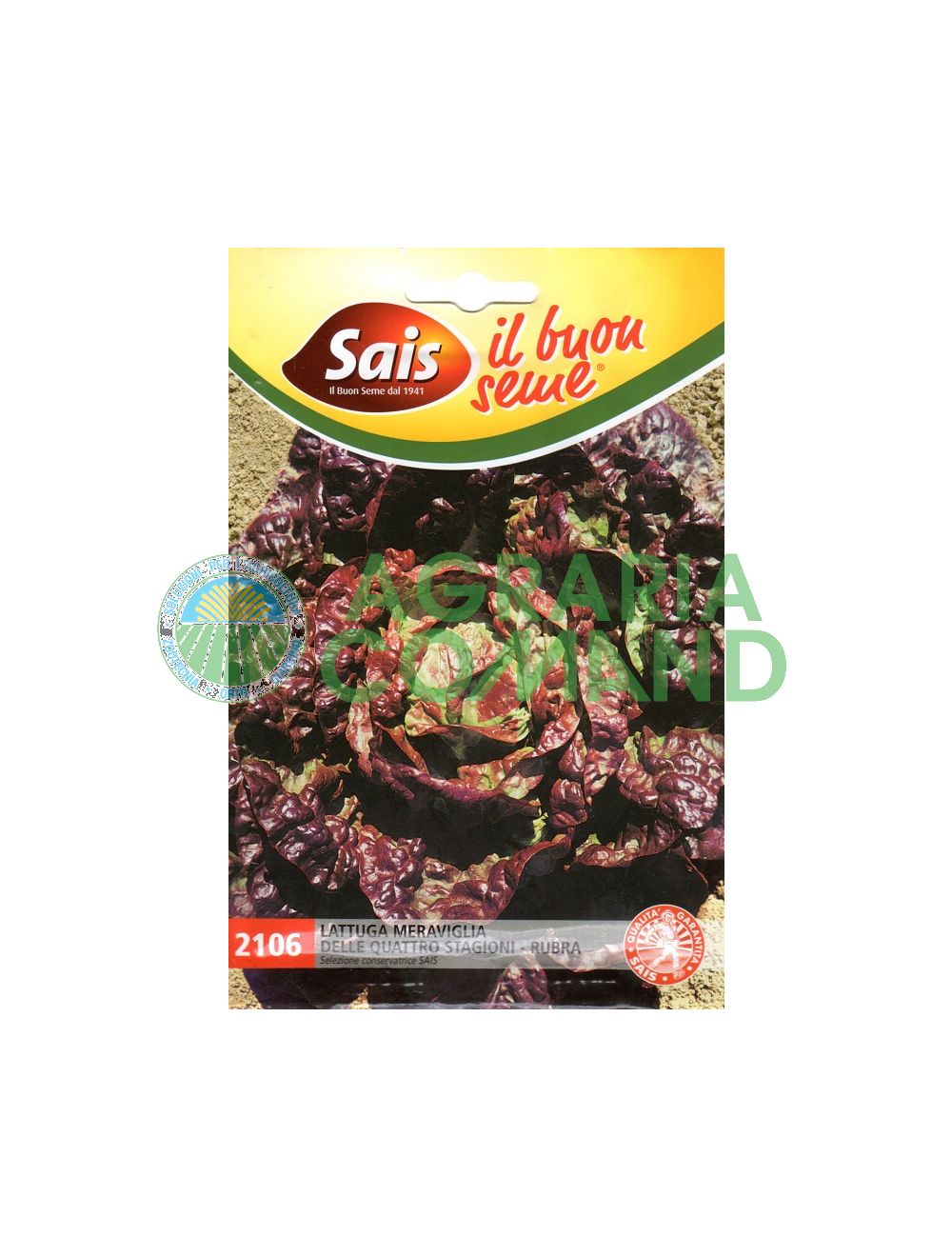 Laitue rubra Merveille des 4 saisons Laitue rubra Merveille des 4 saisons