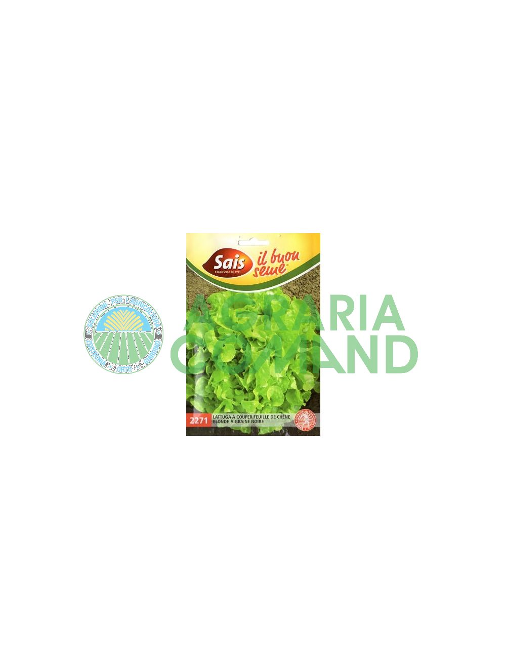Laitue_couper_feuille Laitue_couper_feuille