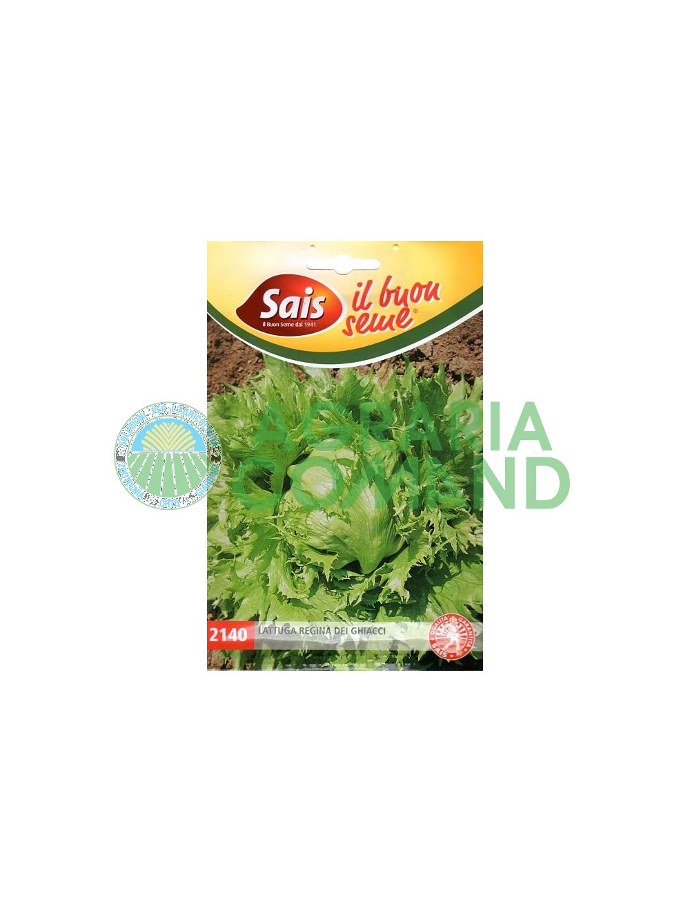 Laitue reine des glaces