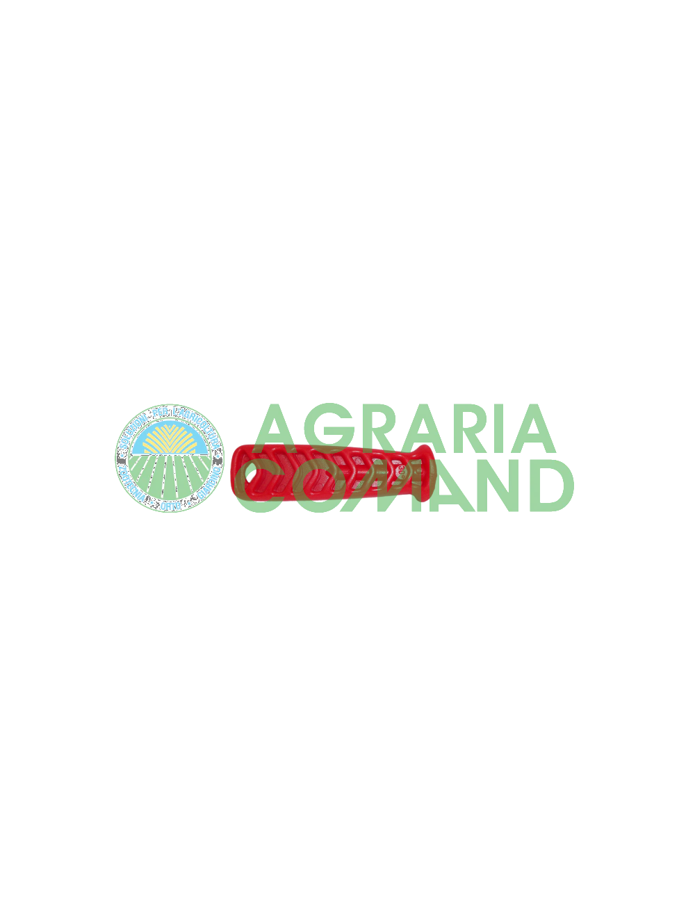 Poignée pour la tige de la lime