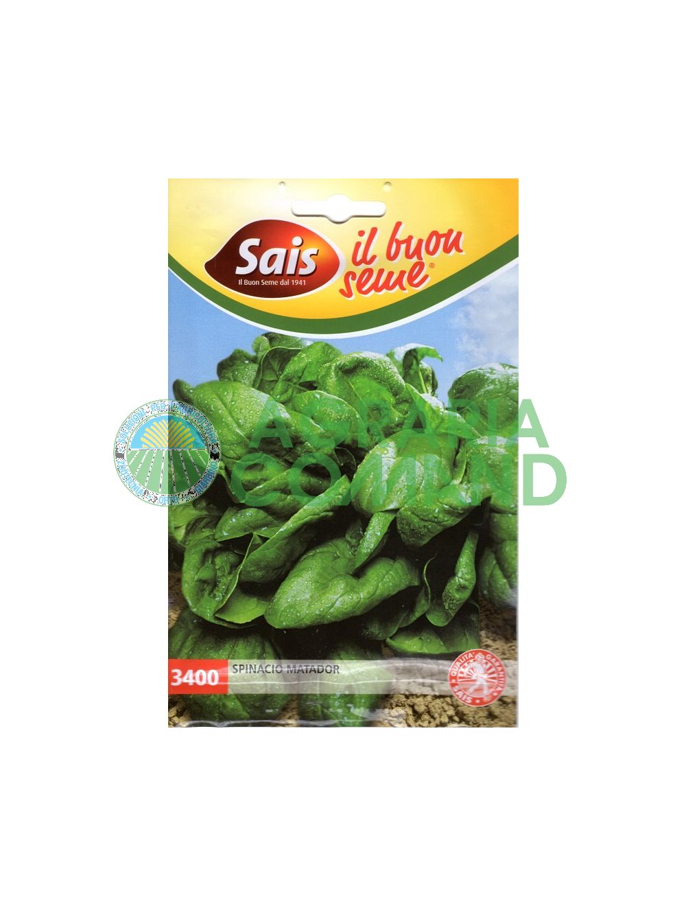 Semences d'épinards Matador Semences d'épinards Matador
