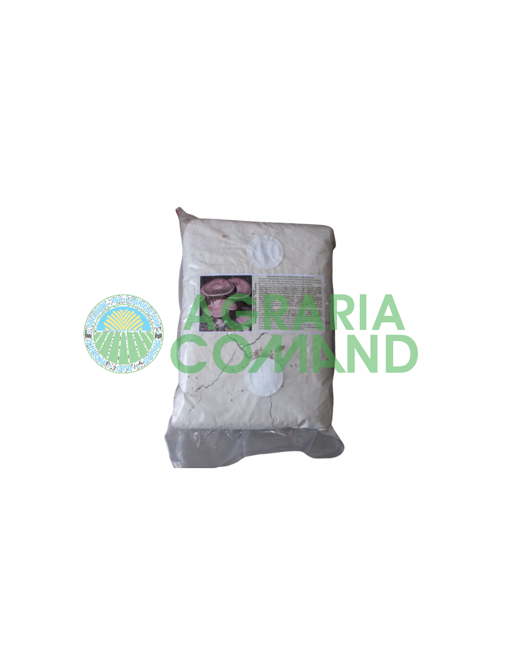 Graine de mycélium frais Cardoncello Graine de mycélium frais Cardoncello