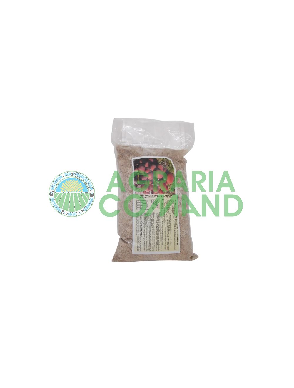 Mycélium frais de peuplier