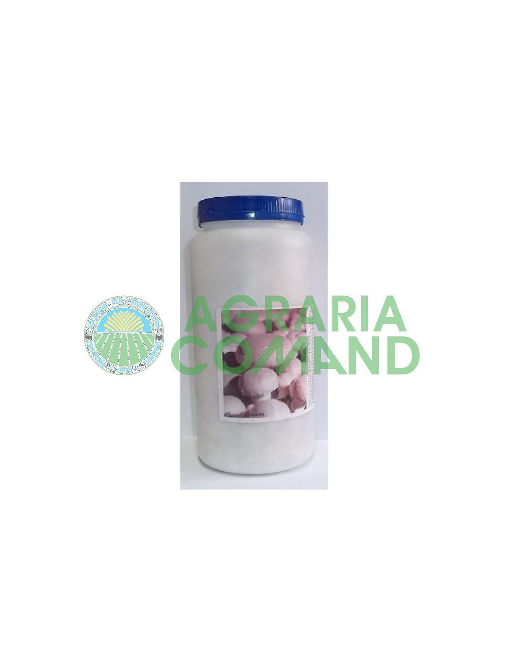 Mycelium_crème fraîche Mycelium_crème fraîche