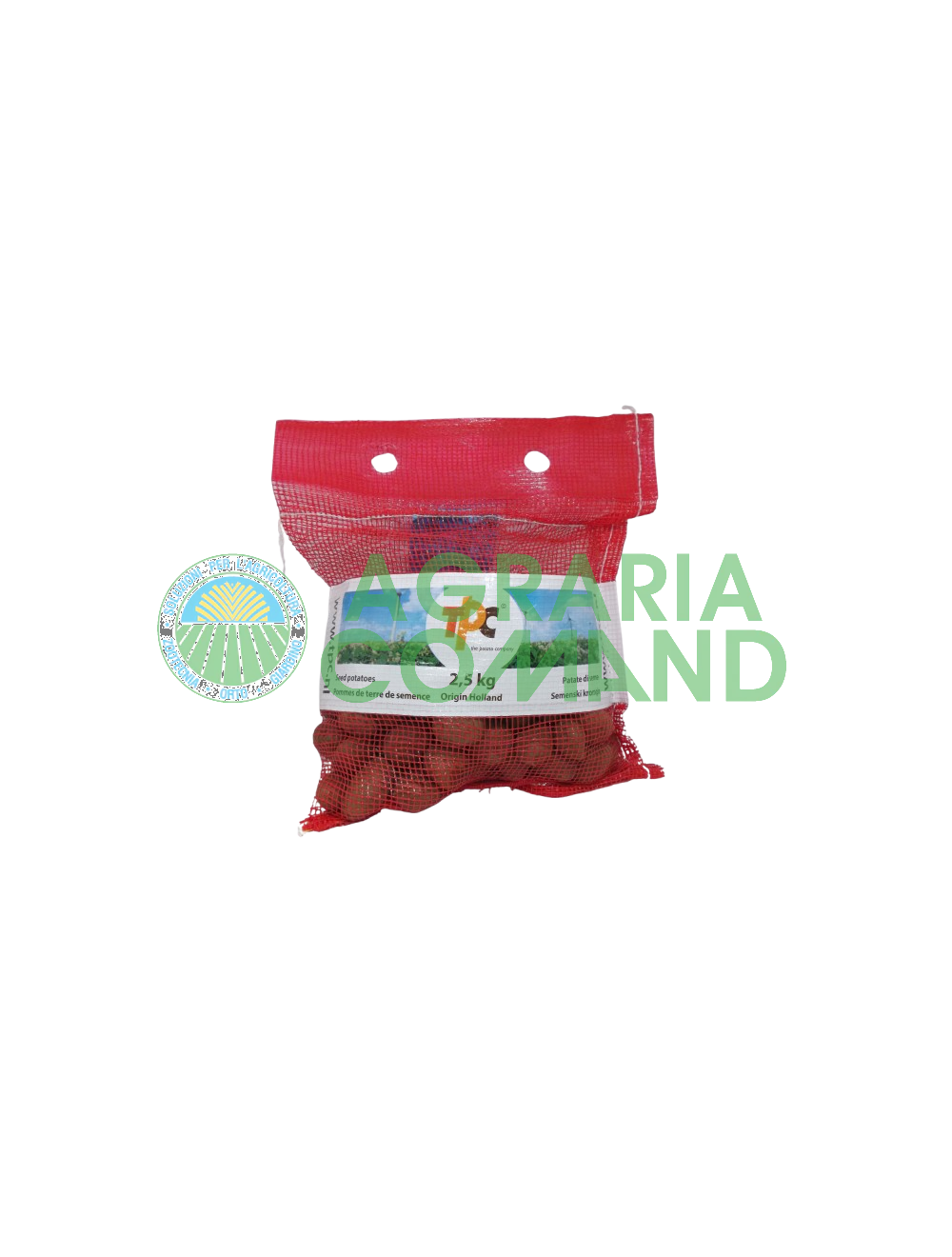 Pommes de terre sa semences mini tubercules Desiree de Hollande Pommes de terre sa semences mini tubercules Desiree de Hollande