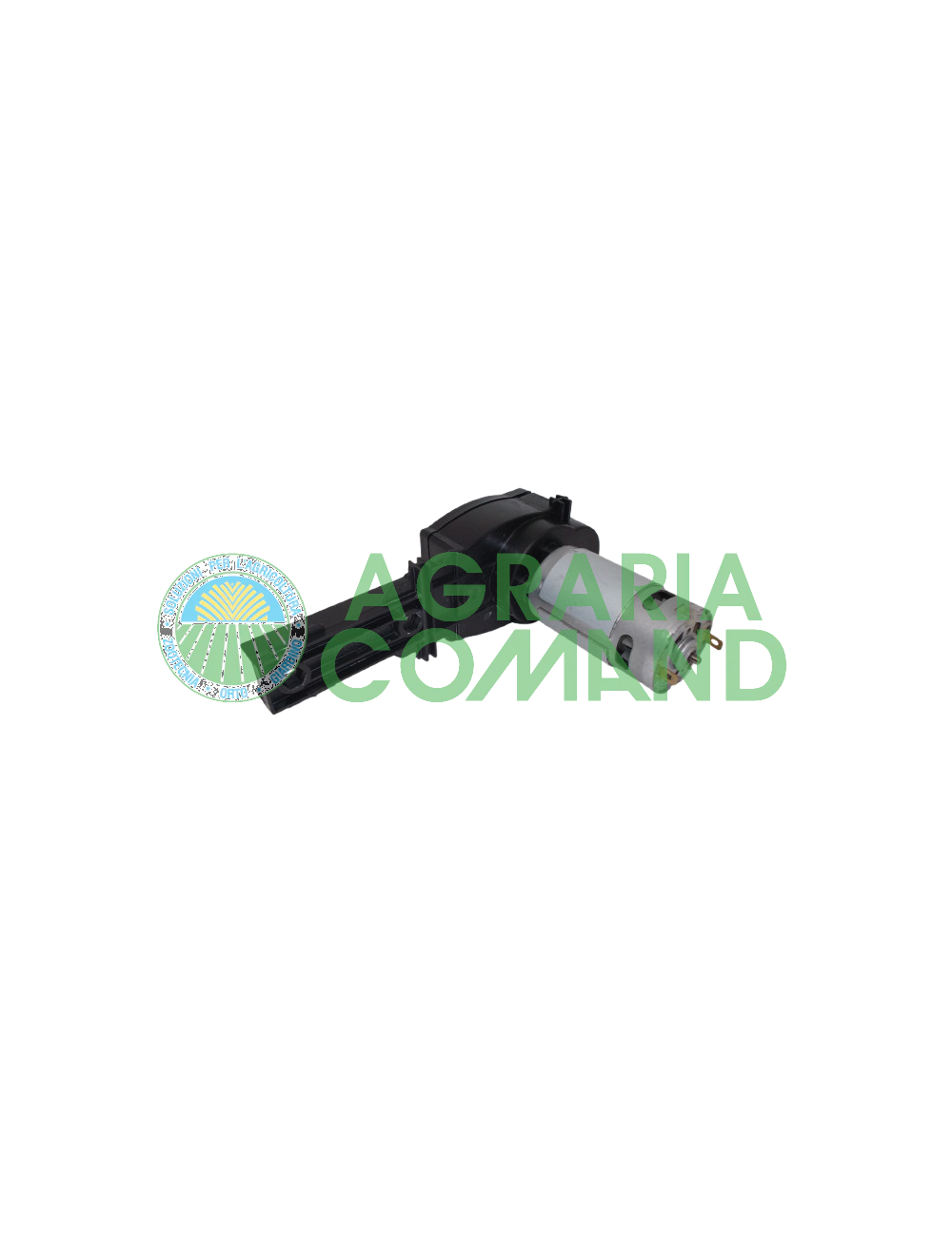 Moteur et pignon du taille-haie TT20