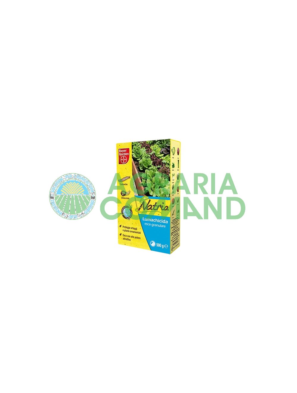 Escargot de mer Natria Escargot de mer Natria