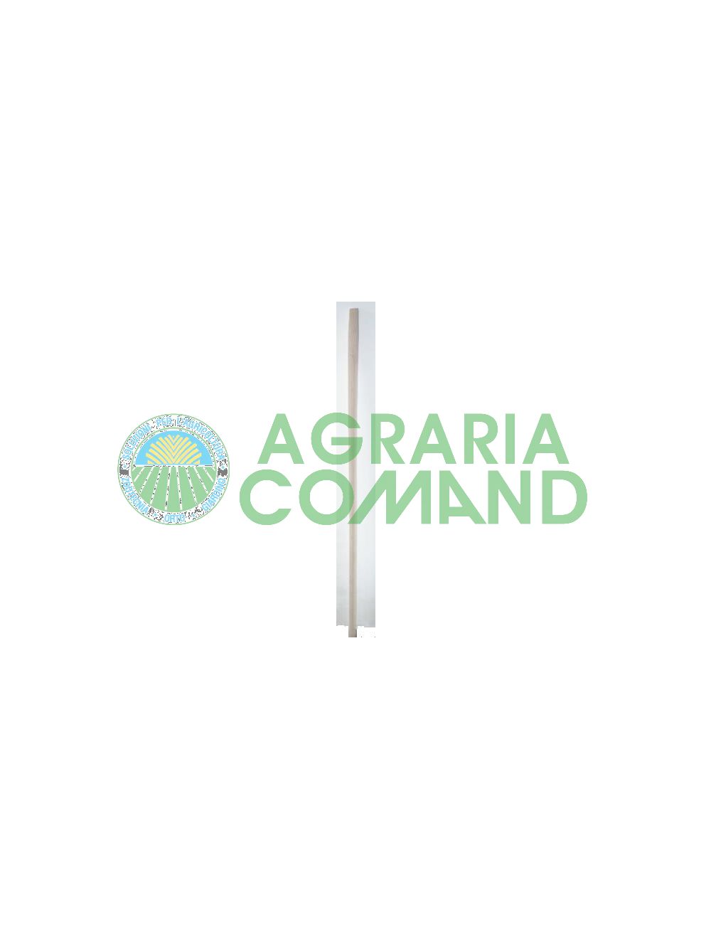 Manche de pelle et de fourche en hêtre