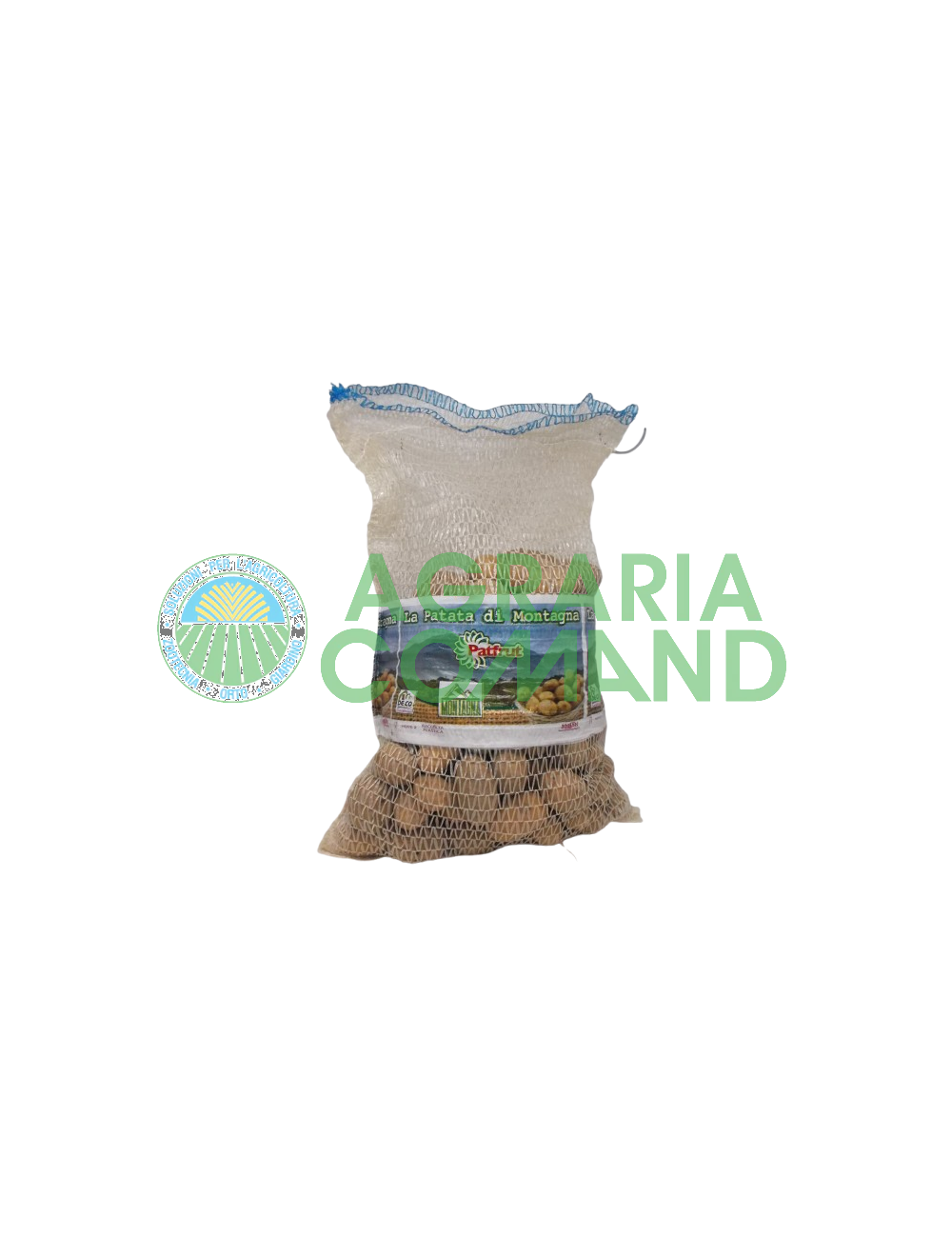 Pomme de terre de semence biologique Cicero