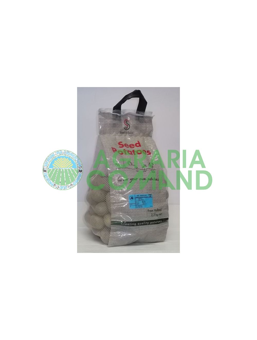 Pommes de terre de semence_triple_variété_90_mini_tubercules