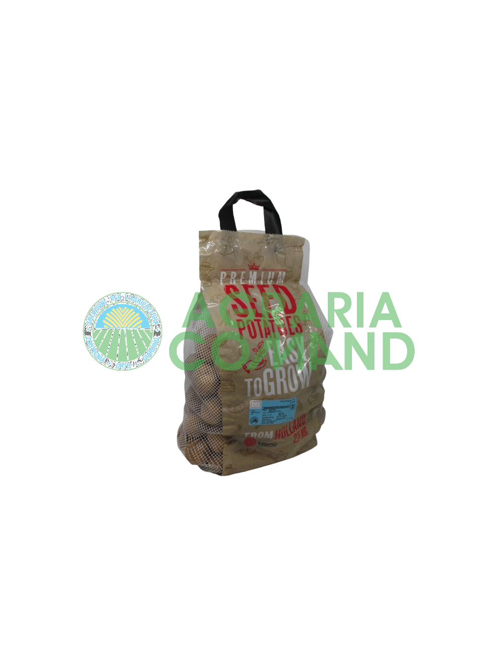 Paquet de pommes de terre de semence Sifra Paquet de pommes de terre de semence Sifra