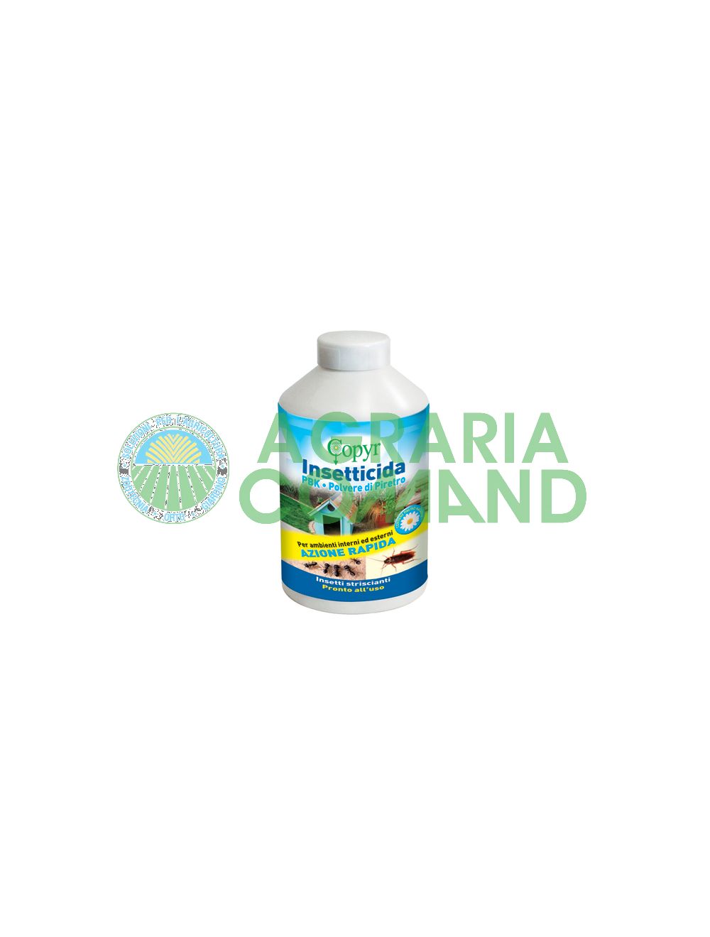 Poudre de pyrèthre Poudre de pyrèthre