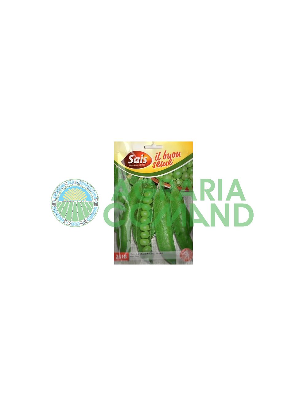 Pea_Rondo_half_rama Pea_Rondo_half_rama