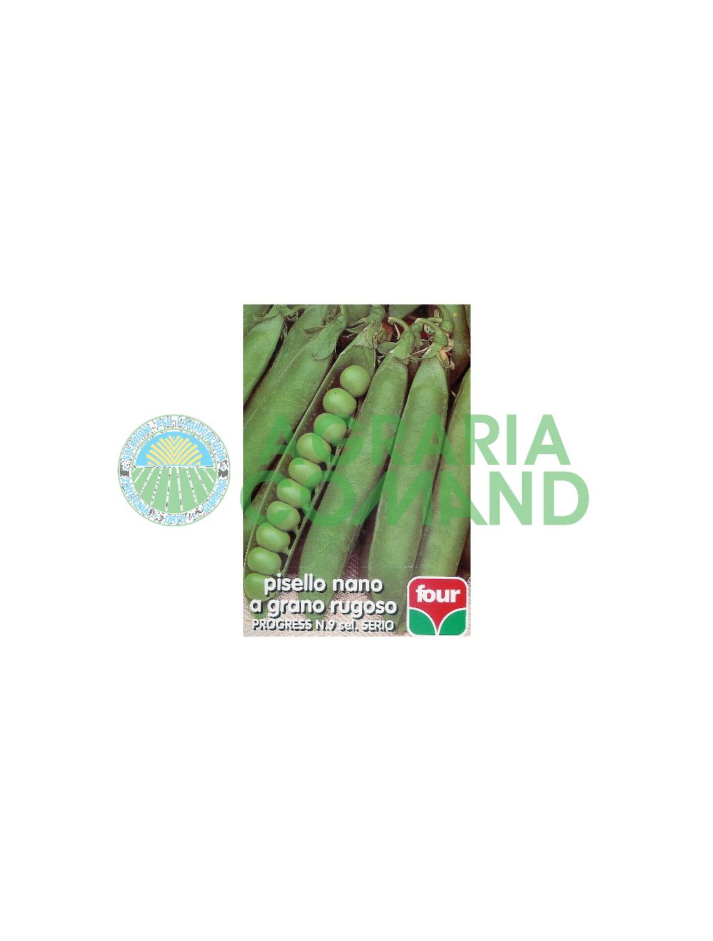 Progression des pois nains Progression des pois nains