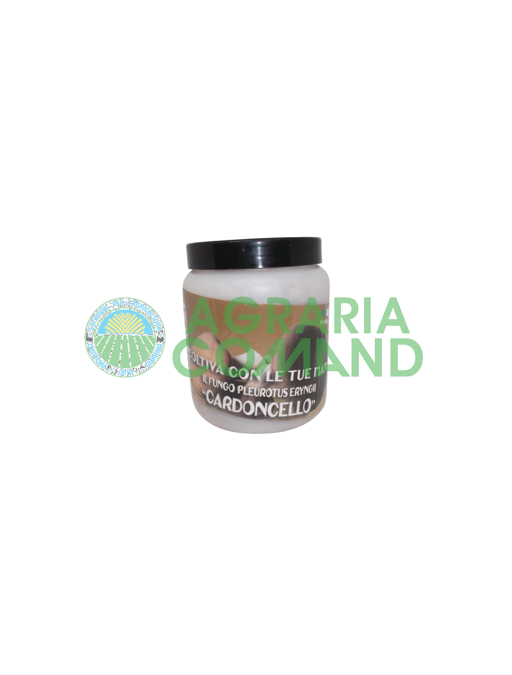 Cardoncello pot de mycélium frais Cardoncello pot de mycélium frais